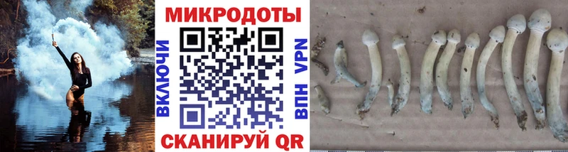 Галлюциногенные грибы мухоморы  Новошахтинск 